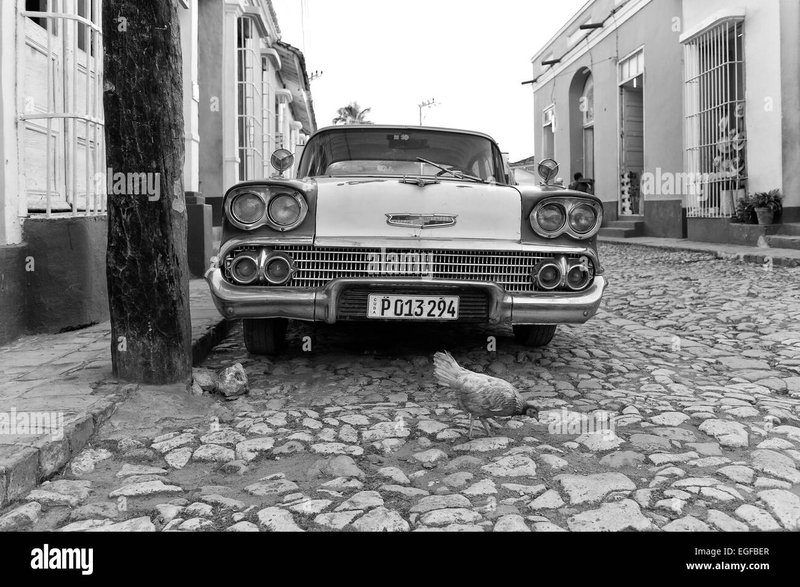 Guide to chicken road oficial